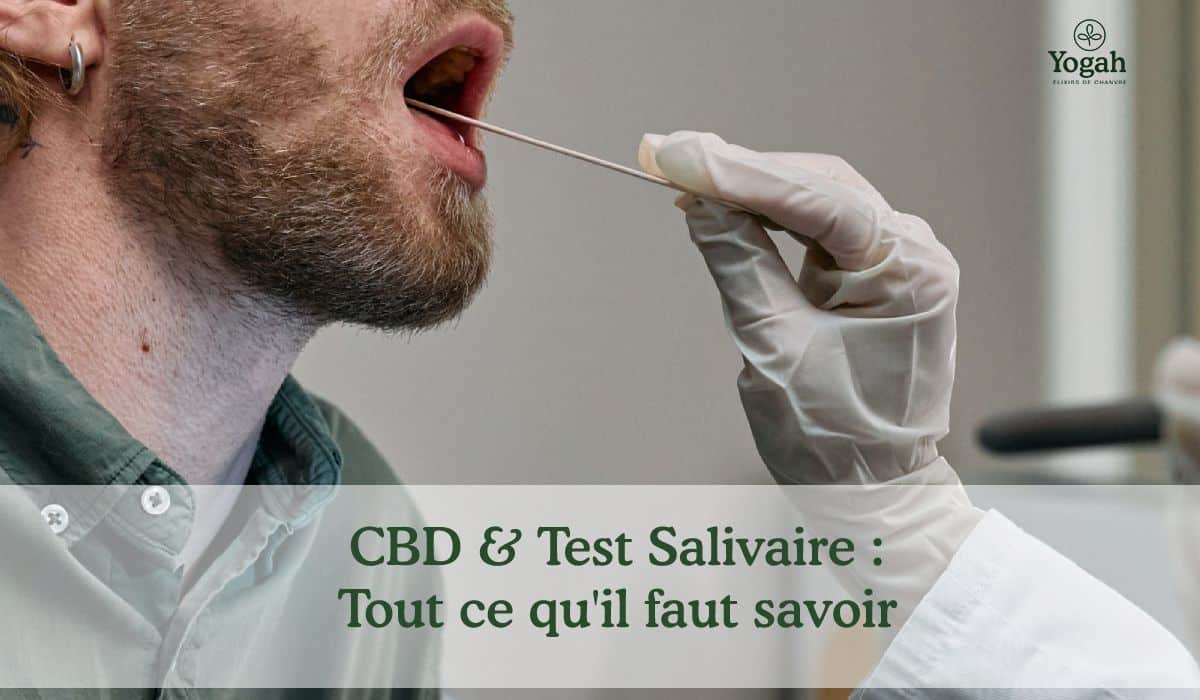 Analyse du THC : test Sanguin, Urinaire et Salivaire